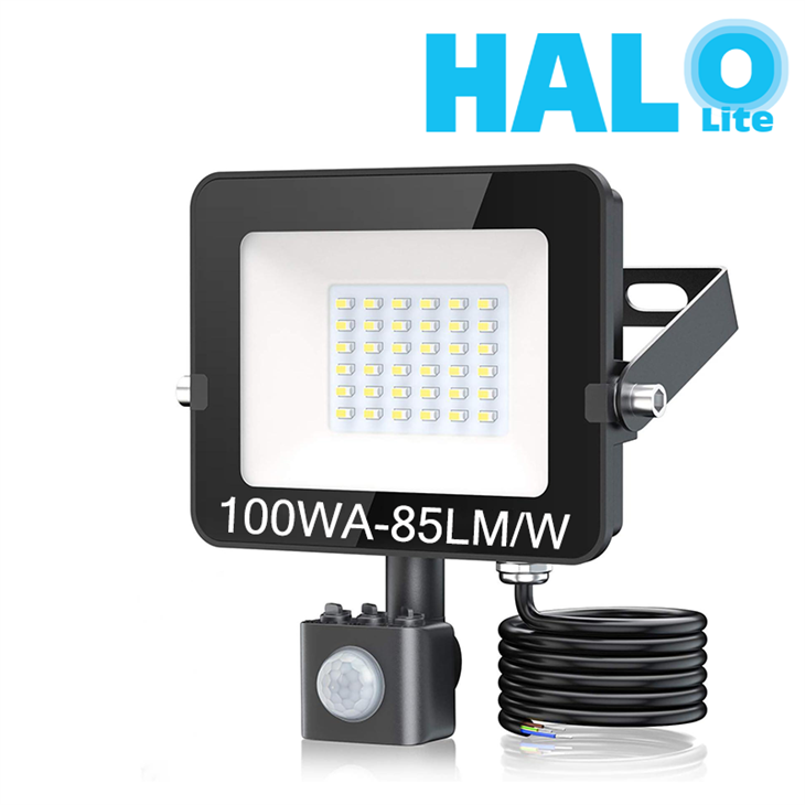 Halolite 100wa PIR 85LM/W Dob Non-Isolated IP65 Waterproof Outdoor LED Flood Light