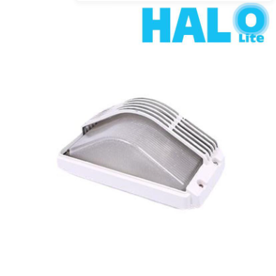 LED Outdoor Wall Light